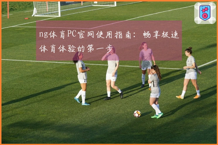 ng体育PC官网使用指南：畅享极速体育体验的第一步