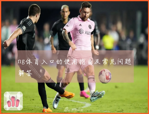 ng体育入口的使用指南及常见问题解答