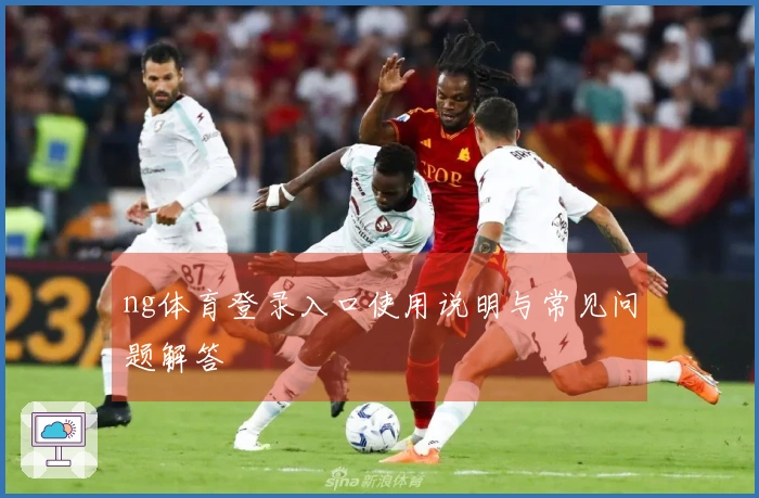 ng体育登录入口使用说明与常见问题解答