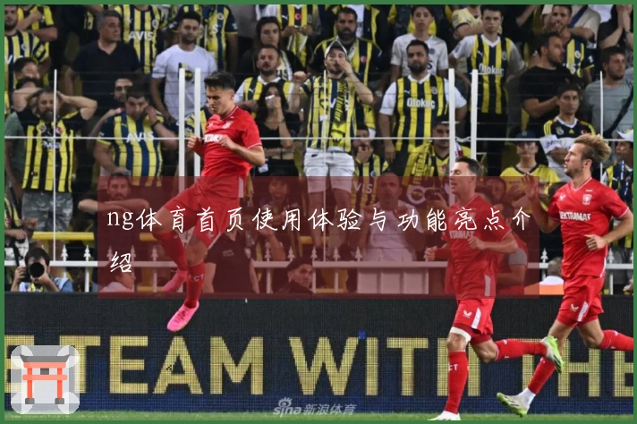 ng体育首页使用体验与功能亮点介绍