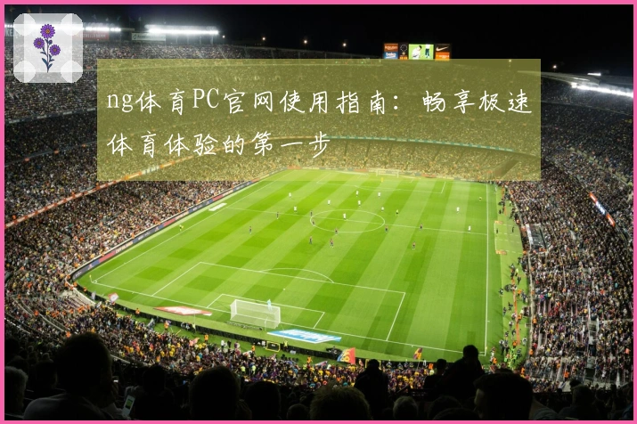 ng体育PC官网使用指南：畅享极速体育体验的第一步