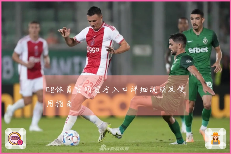 ng体育官网官方入口详细说明及使用指南