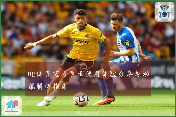 ng体育官方页面使用体验分享与功能解析指南