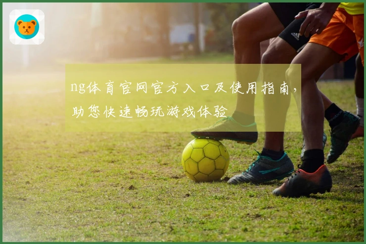 ng体育官网官方入口及使用指南，助您快速畅玩游戏体验