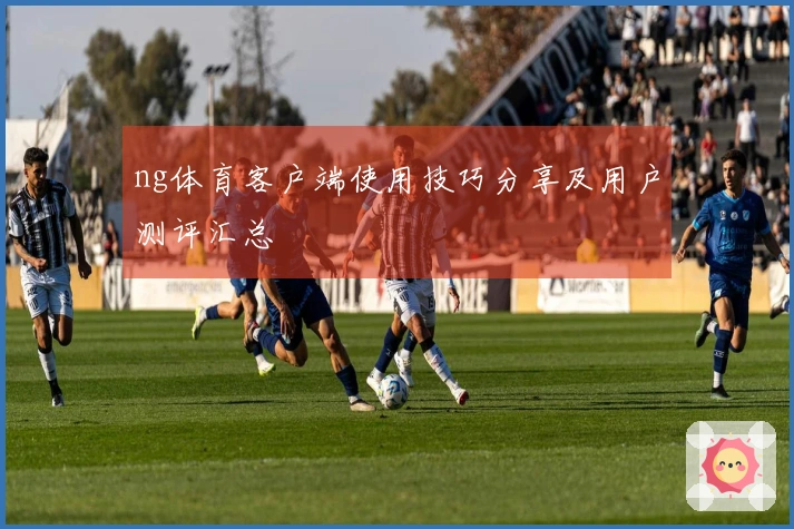 ng体育客户端使用技巧分享及用户测评汇总