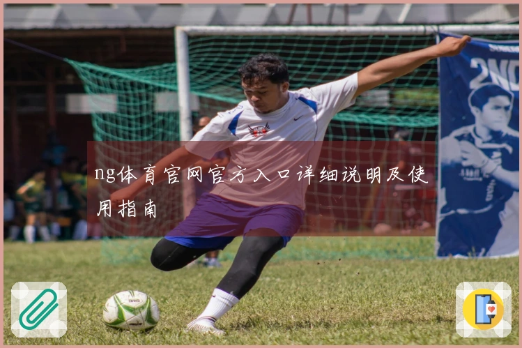 ng体育官网官方入口详细说明及使用指南